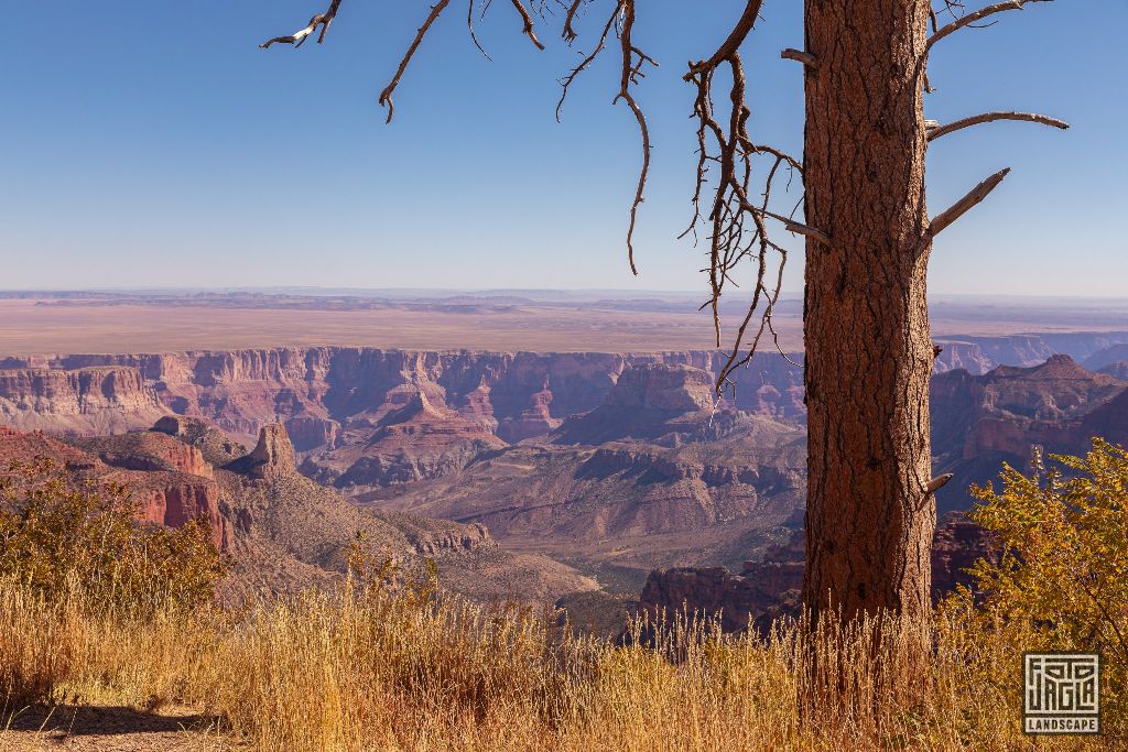 North Rim - Grand Canyon National Park
Arizona, USA 2019