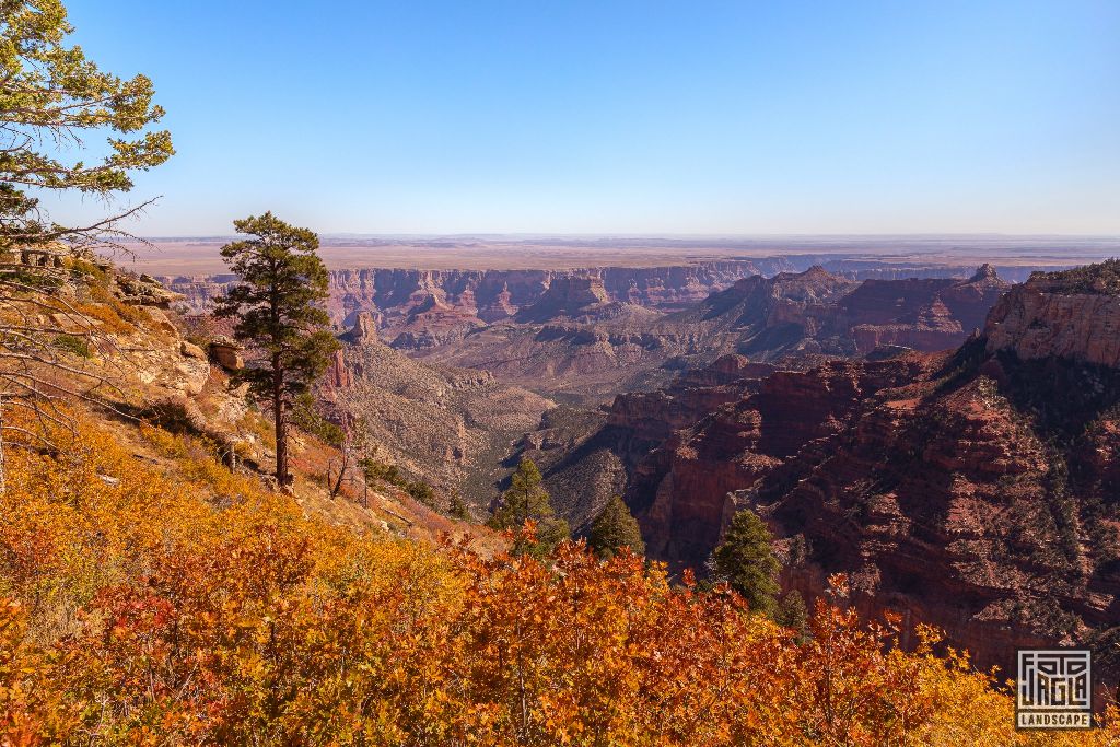 North Rim - Grand Canyon National Park
Arizona, USA 2019