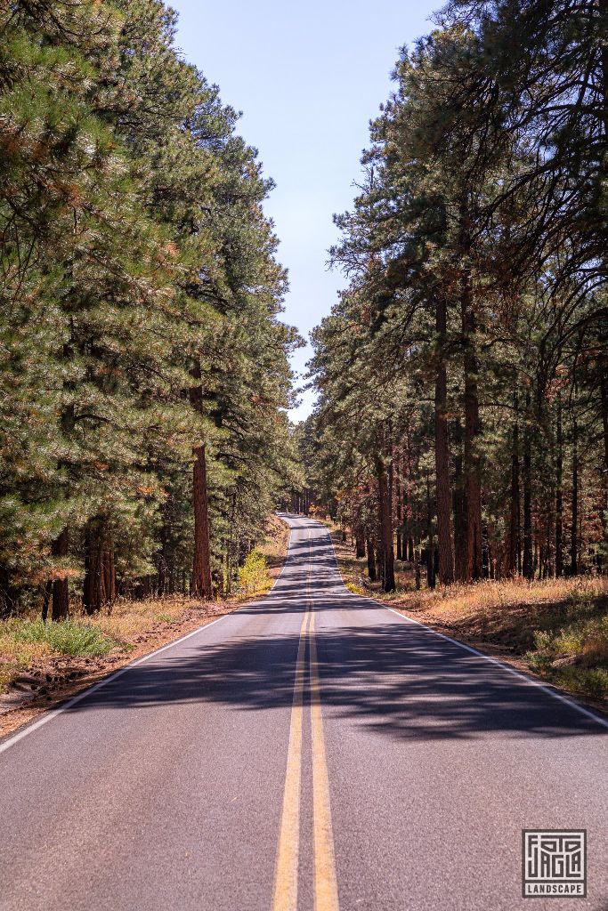 North Rim - Grand Canyon National Park
Arizona, USA 2019