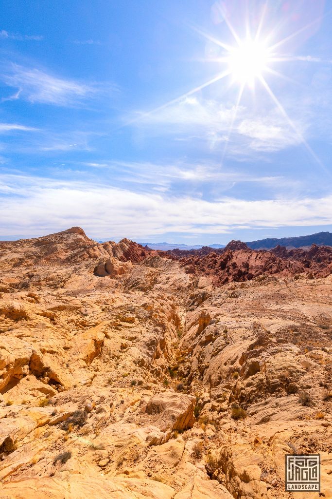 Valley of Fire 2019
Fire Canyon