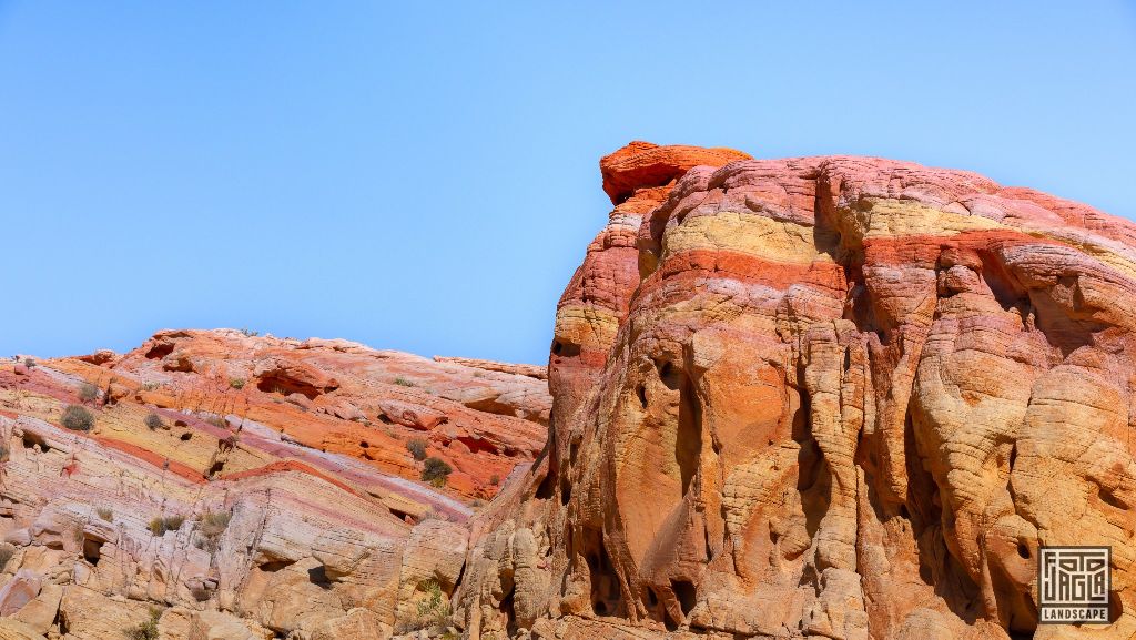 Valley of Fire 2019
Pastel (Pink) Canyon