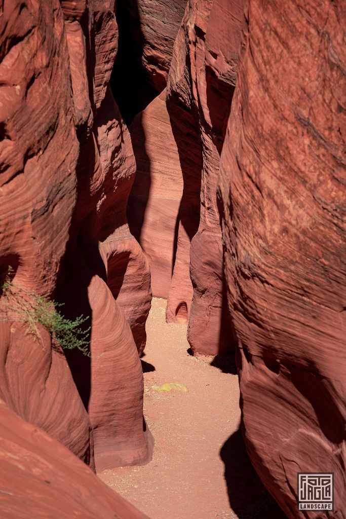 Buckskin Gulch in Kanab
Slot Canyon in Utah 2019