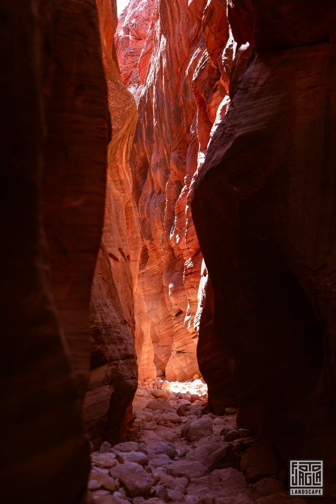 Buckskin Gulch in Kanab
Slot Canyon in Utah 2019