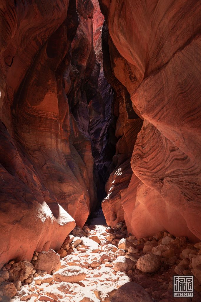 Buckskin Gulch in Kanab
Slot Canyon in Utah 2019