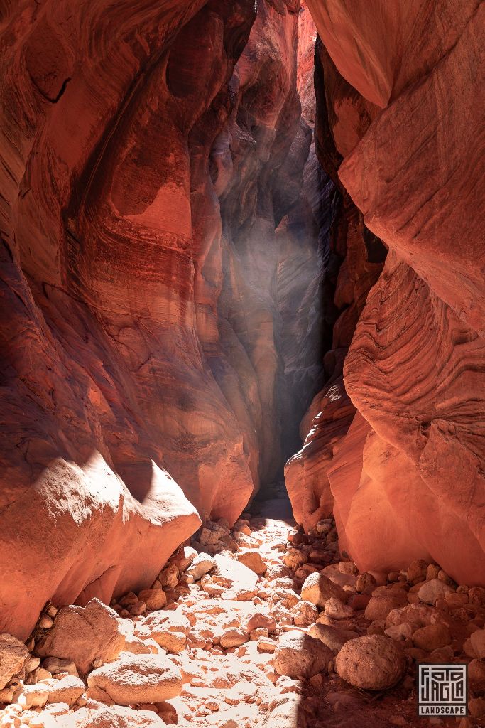 Buckskin Gulch in Kanab
Slot Canyon in Utah 2019