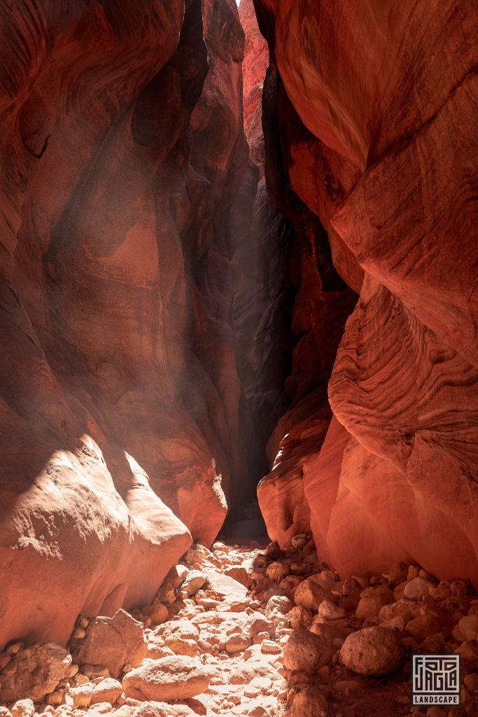 Buckskin Gulch in Kanab
Slot Canyon in Utah 2019