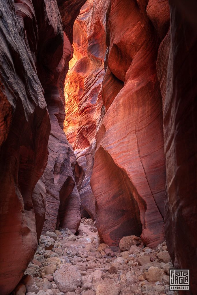 Buckskin Gulch in Kanab
Slot Canyon in Utah 2019