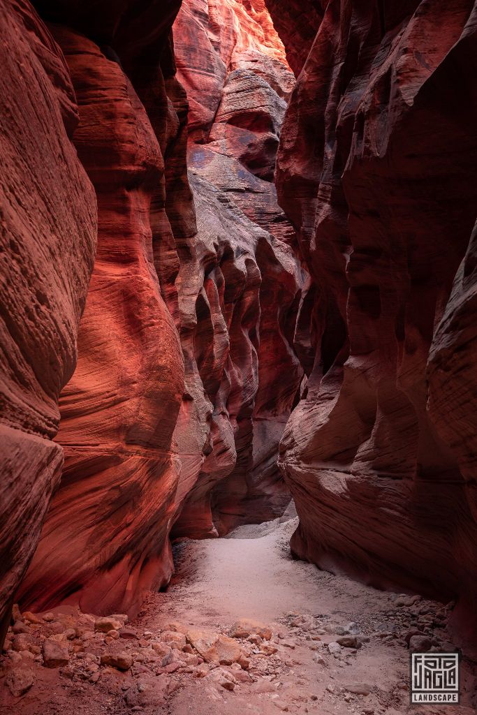 Buckskin Gulch in Kanab
Slot Canyon in Utah 2019