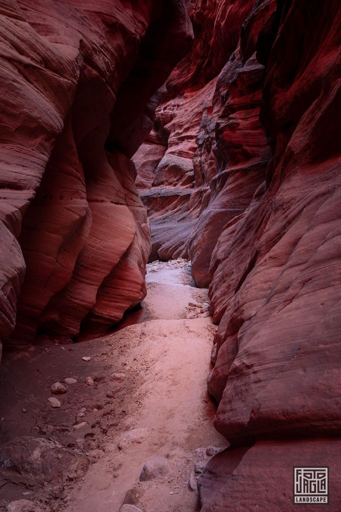 Buckskin Gulch in Kanab
Slot Canyon in Utah 2019