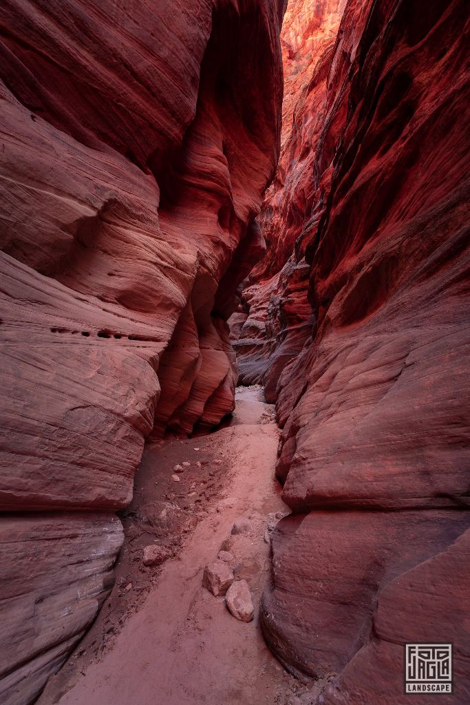 Buckskin Gulch in Kanab
Slot Canyon in Utah 2019