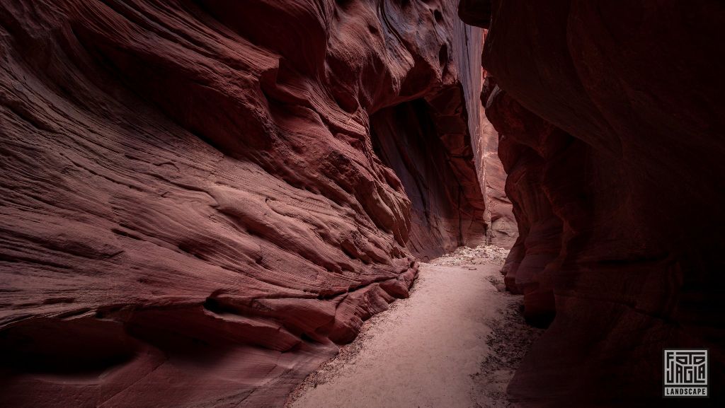 Buckskin Gulch in Kanab
Slot Canyon in Utah 2019