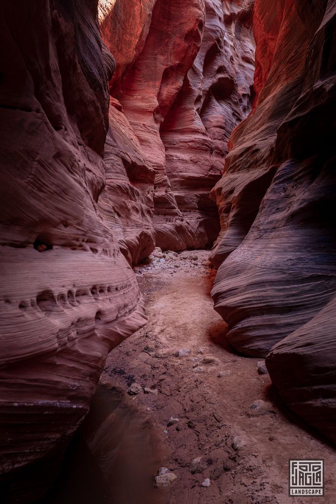 Buckskin Gulch in Kanab
Slot Canyon in Utah 2019