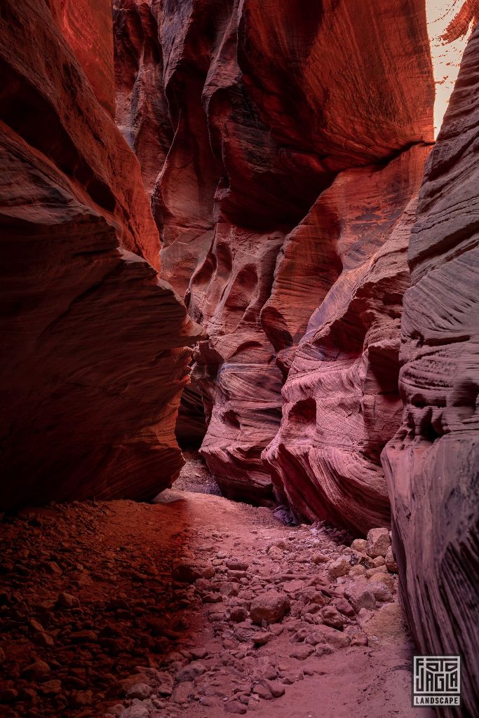 Buckskin Gulch in Kanab
Slot Canyon in Utah 2019