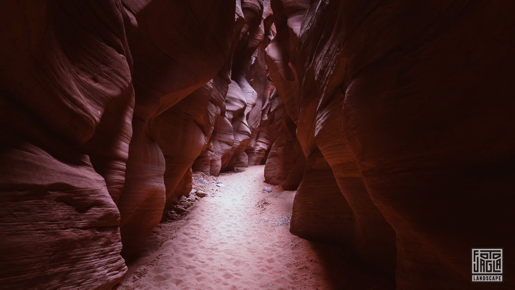 Buckskin Gulch in Kanab
Slot Canyon in Utah 2019