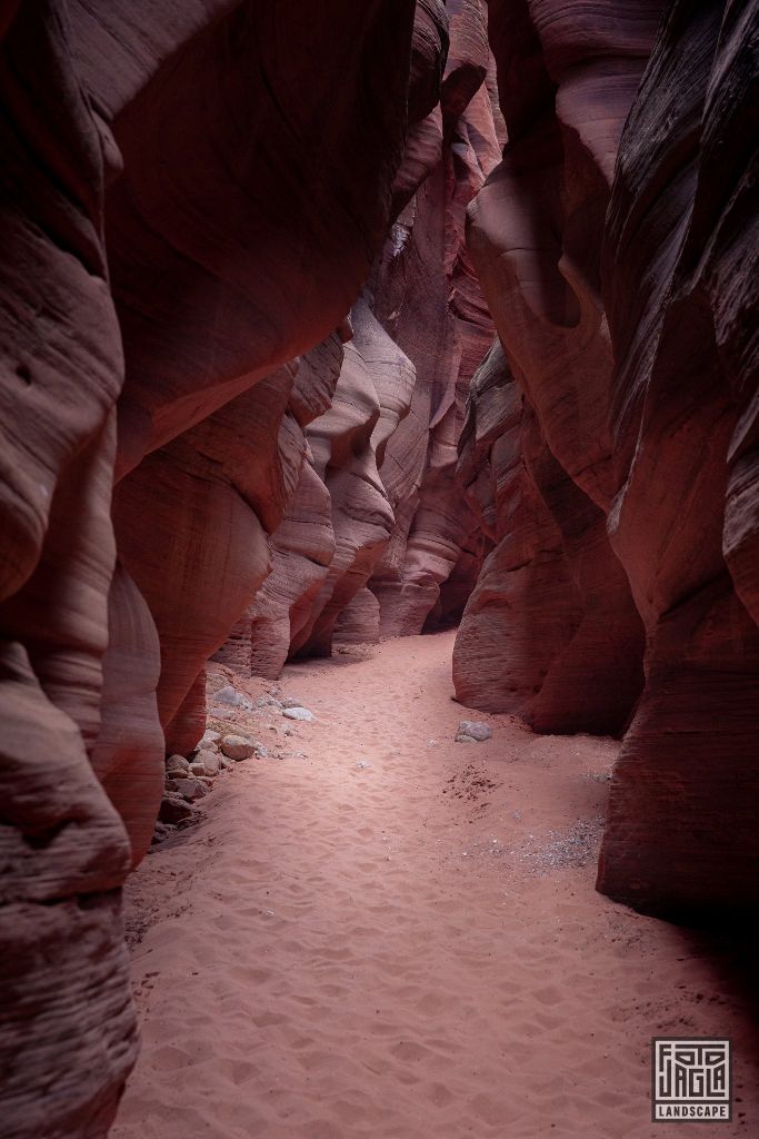 Buckskin Gulch in Kanab
Slot Canyon in Utah 2019