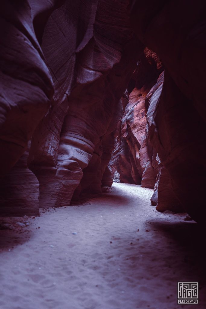 Buckskin Gulch in Kanab
Slot Canyon in Utah 2019