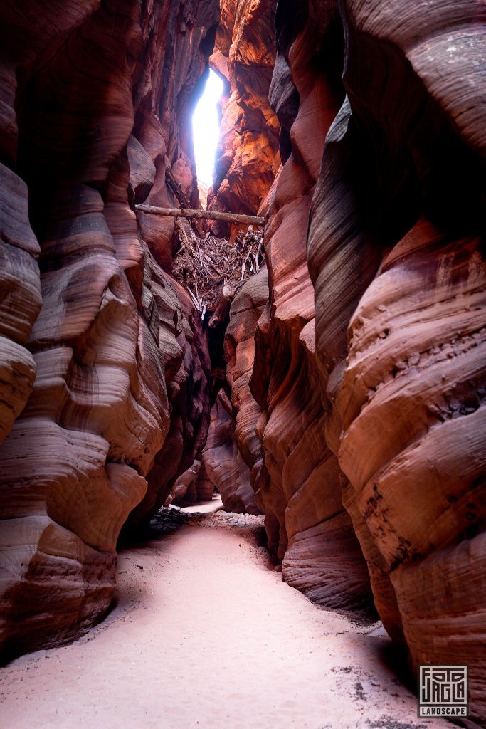 Buckskin Gulch in Kanab
Slot Canyon in Utah 2019