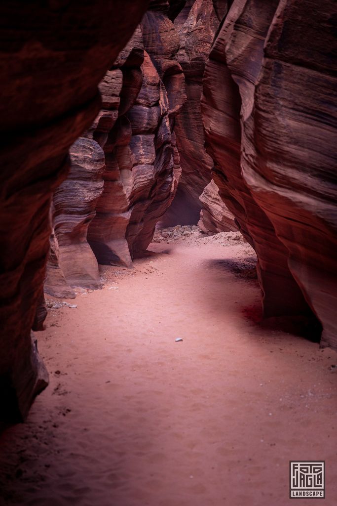 Buckskin Gulch in Kanab
Slot Canyon in Utah 2019