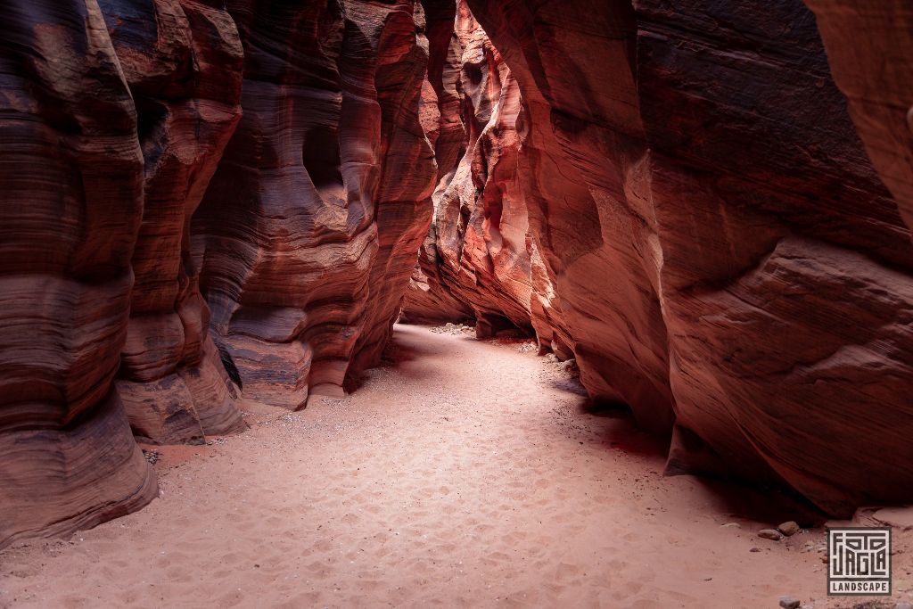 Buckskin Gulch in Kanab
Slot Canyon in Utah 2019