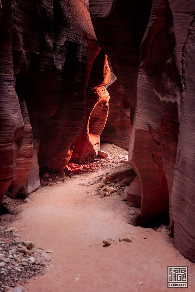 Buckskin Gulch in Kanab
Slot Canyon in Utah 2019