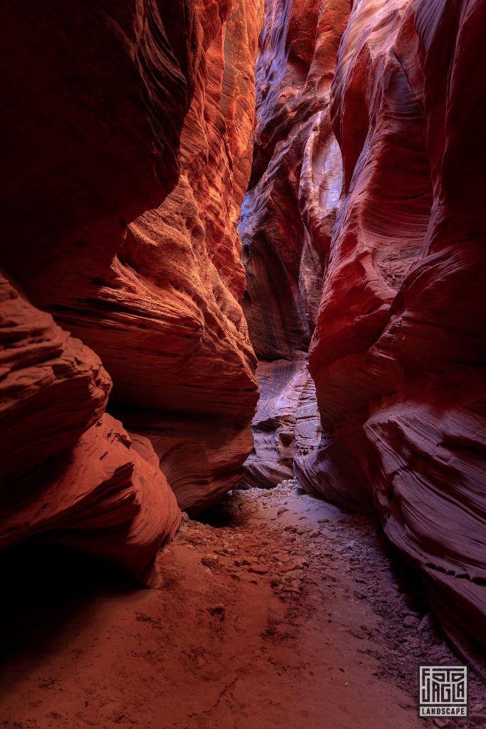 Buckskin Gulch in Kanab
Slot Canyon in Utah 2019