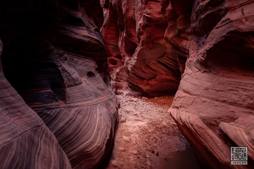 Buckskin Gulch in Kanab
Slot Canyon in Utah 2019