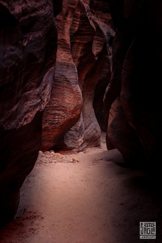 Buckskin Gulch in Kanab
Slot Canyon in Utah 2019