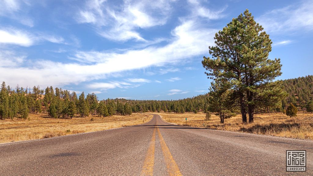 Road 63 in Bryce Canyon National Park
Utah 2019