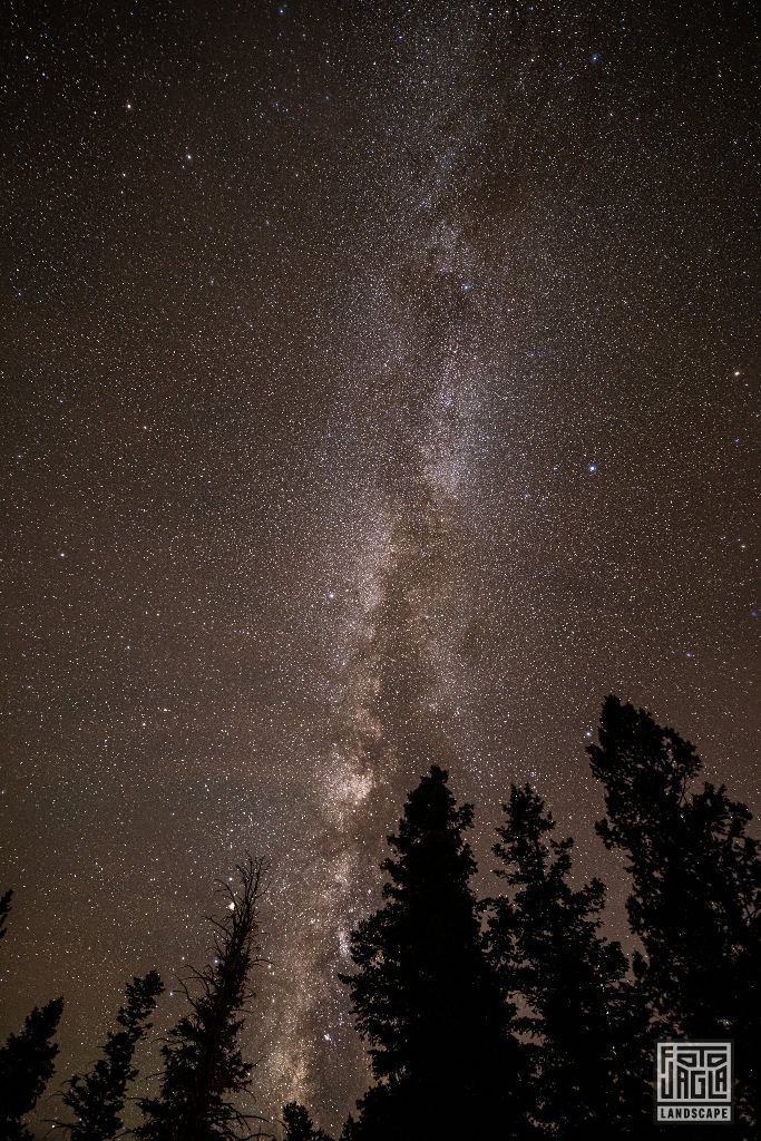 Viewing Stars and Milky Way at Rainbow Point in Bryce Canyon National Park
Utah 2019