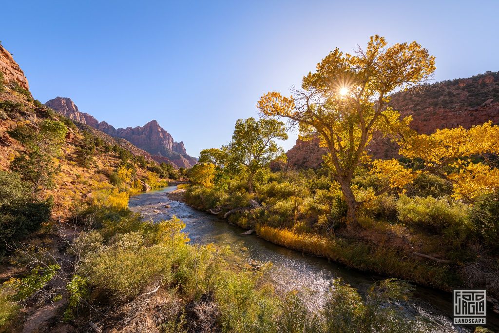 Virgin River near Canyon Junction Bridge in Zion National Park
Utah 2019