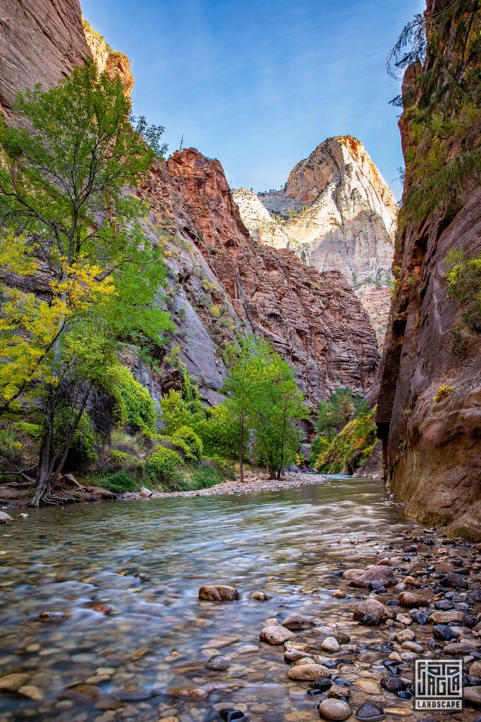 Riverside Walk along the Virgin River in Zion National Park
Utah 2019