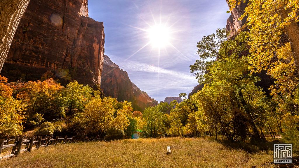 Riverside Walk along the Virgin River in Zion National Park
Utah 2019