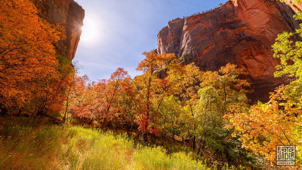 Riverside Walk along the Virgin River in Zion National Park
Utah 2019