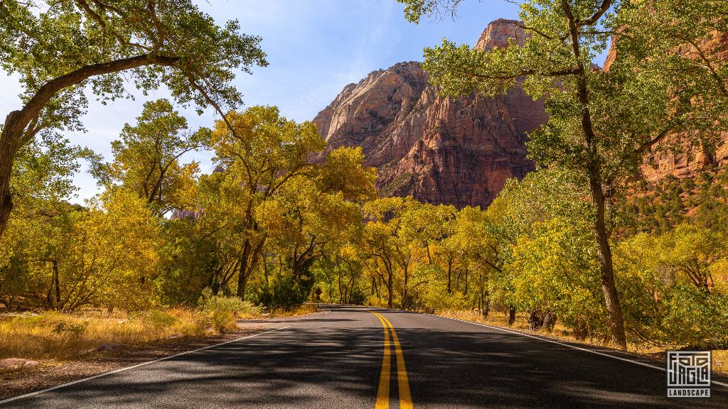 Riverside Walk along the Virgin River in Zion National Park
Utah 2019