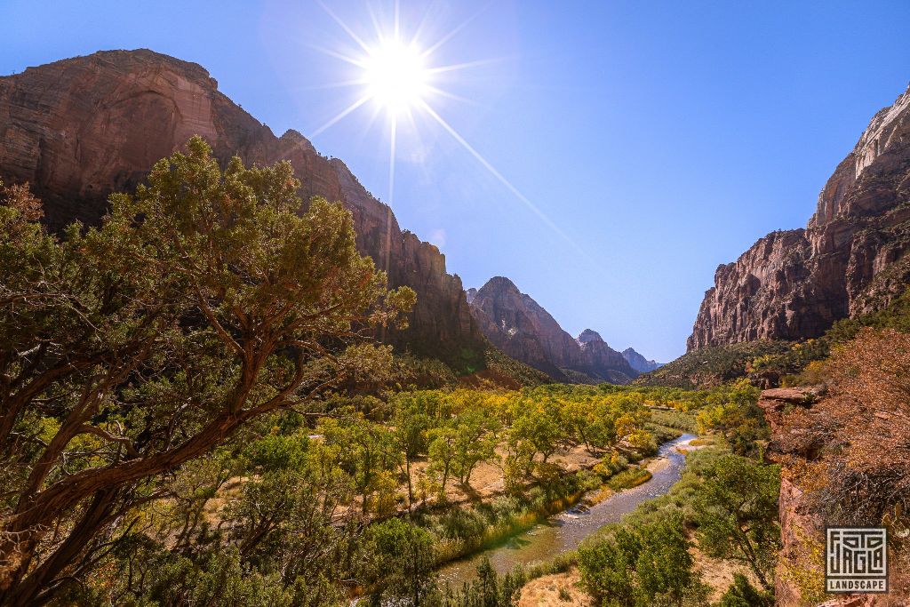 View from the Kayenta Trail in Zion National Park
Utah 2019