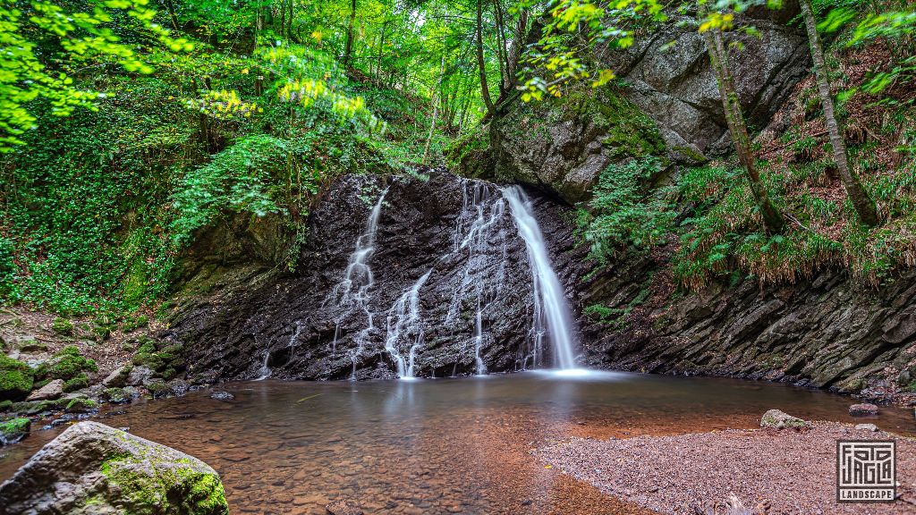 Fairy Glen Falls in Rosemarkie
Ein kleiner Wasserfall im Wald
Schottland - September 2020