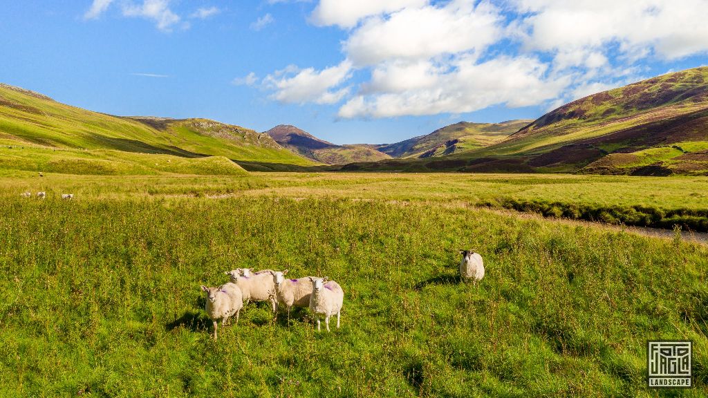 Spittal of Glenshee in den schottischen Highlands
Schottland - September 2020