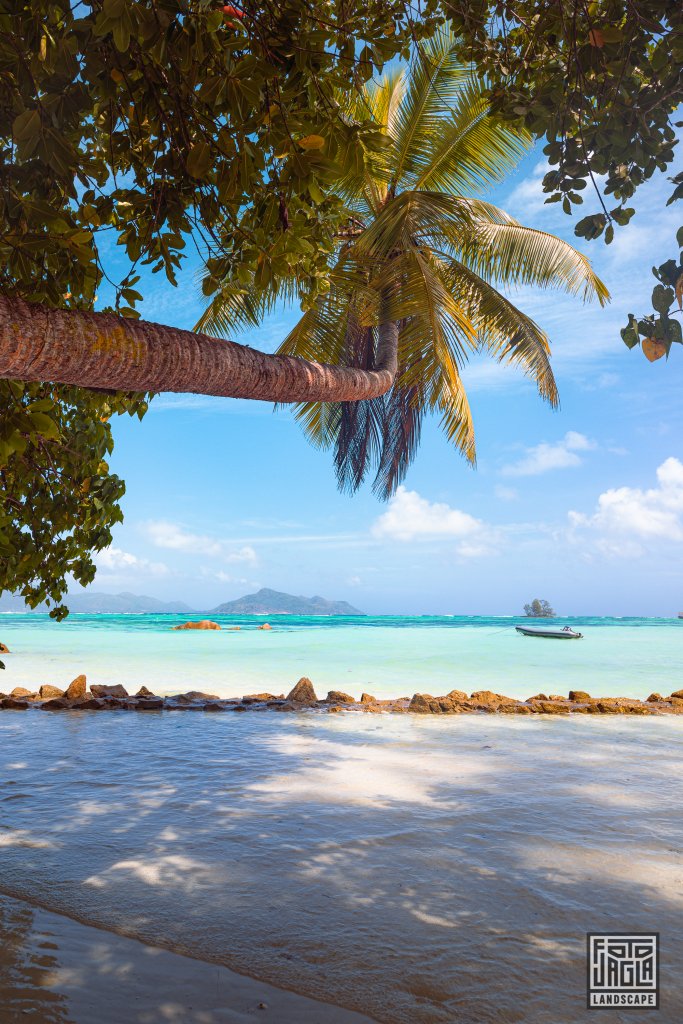 Der Traumstrand Anse Source d'Argent
La Digue, Seychellen 2021