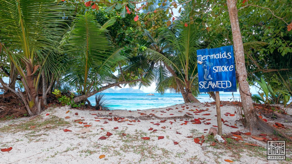 Mermaids Smoke Seaweed Schild
Bikini Bottom am Anse Severe
La Digue, Seychellen 2021