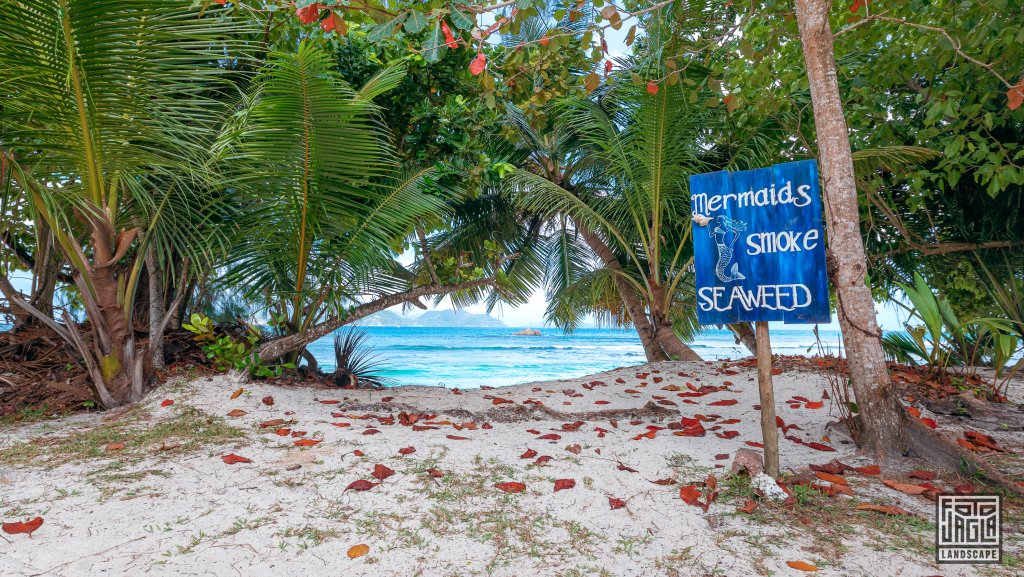 Mermaids Smoke Seaweed Schild
Bikini Bottom am Anse Severe
La Digue, Seychellen 2021