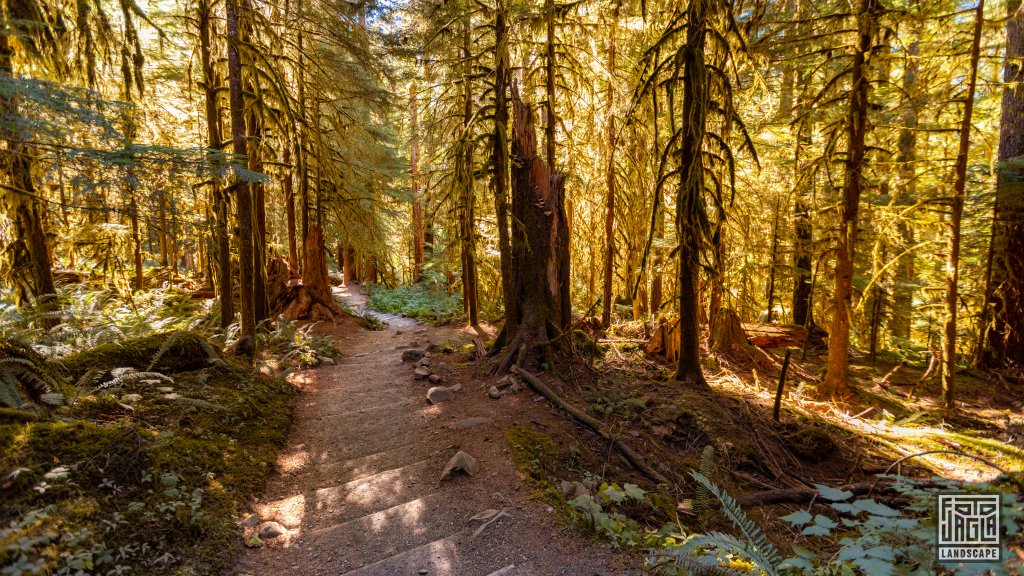 Salmon Cascades am Sol Duc River
Sol Duc Trailhead im Olympic National Forest
Washington 2022