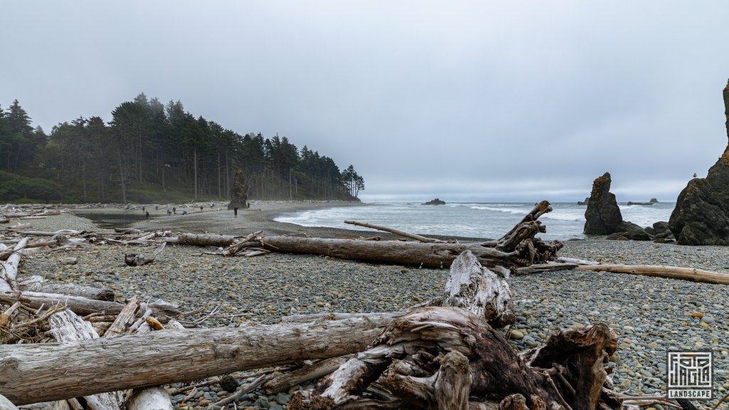 Ruby Beach am Cedar Creek
US Westkste
Washington 2022