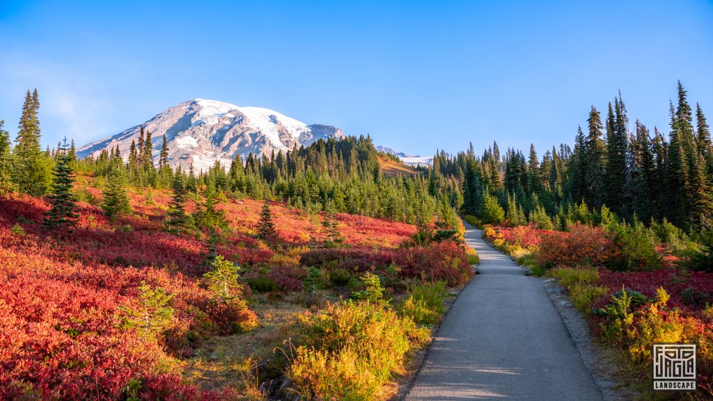 Skyline Trail am Mt Rainier
Mount Rainier National Park
Washington 2022