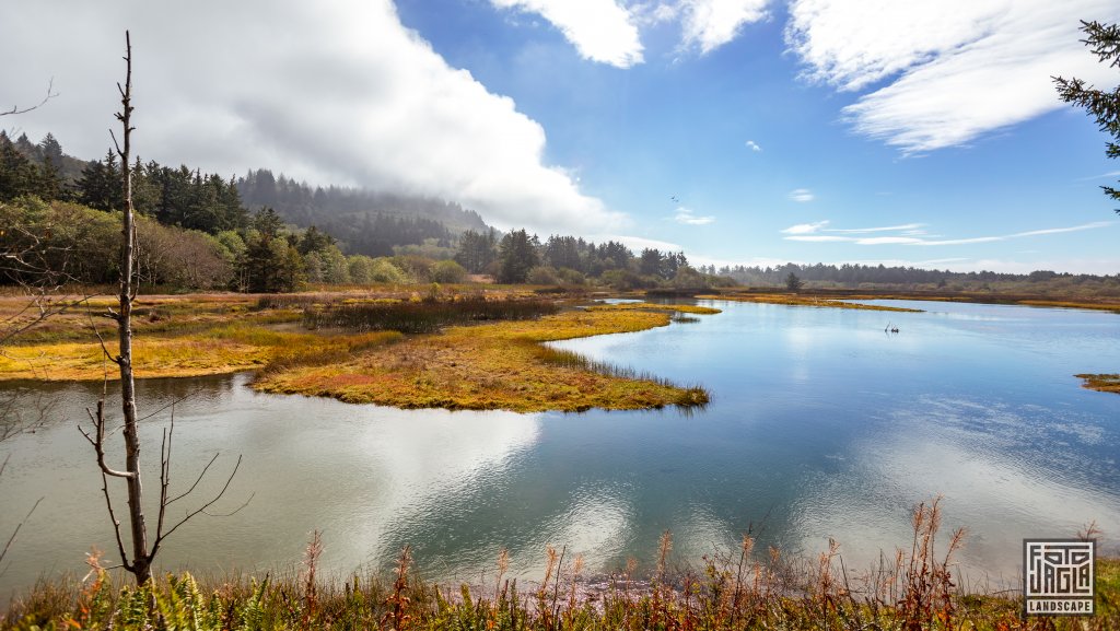 Sitka Sedge Parking and Trailhead
US Westkste
Oregon 2022