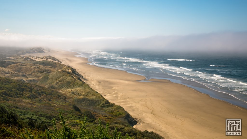 Berry Creek
US Westkste
Oregon 2022