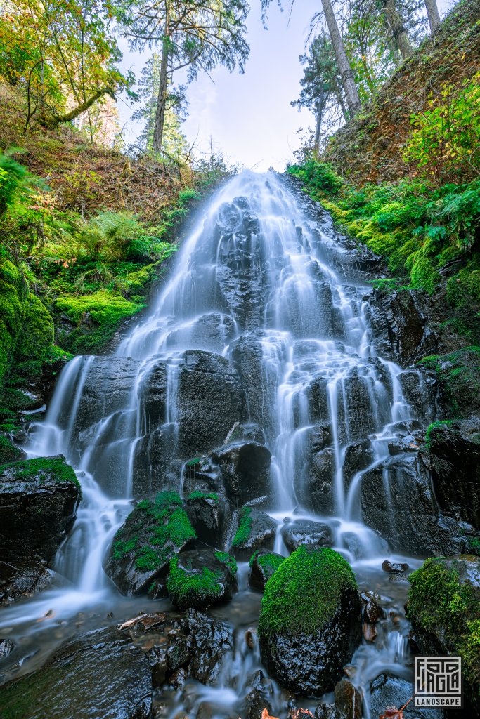 Fairy Falls auf dem Wahkeena Trail
Columbia River
Oregon 2022