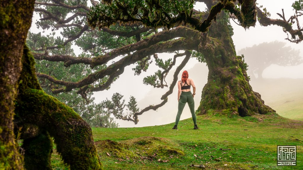 Alienna im mystischen Lorbeerwald Fanal
Madeira 2023