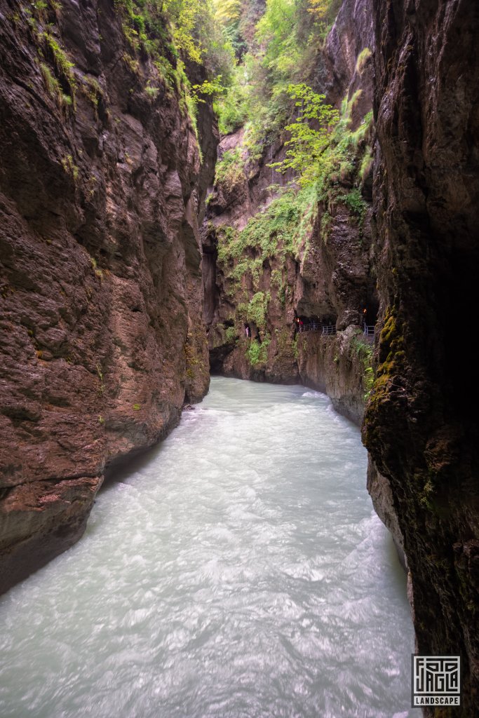 Aareschlucht in der Schweiz