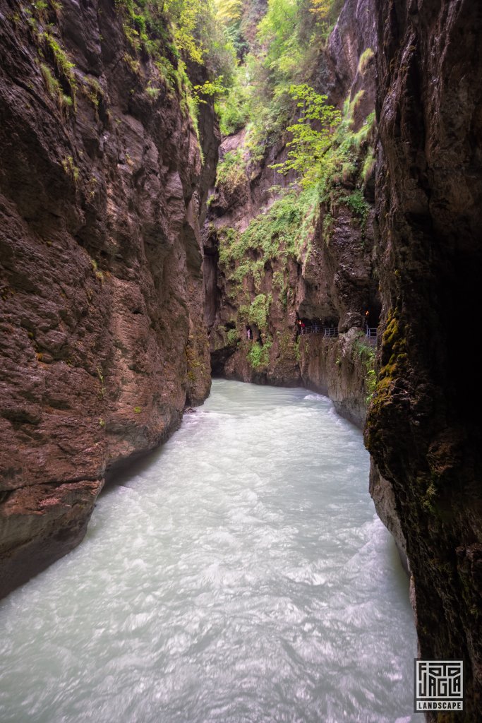 Aareschlucht in der Schweiz