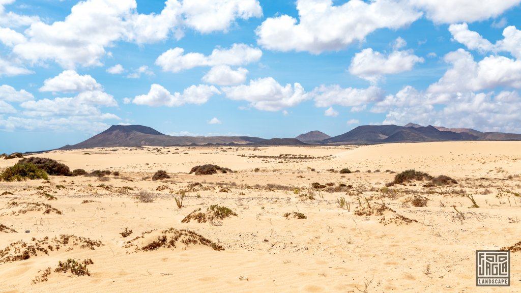 Die Dnen von Corralejo
Fuerteventura, Spanien 2023